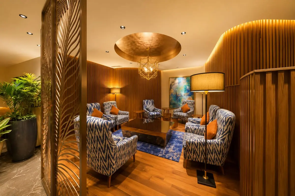 080 VIP Domestic Lounge — photo 3 of 4